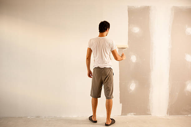 Best Eco-Friendly and Low-VOC Painting  in Donna, TX